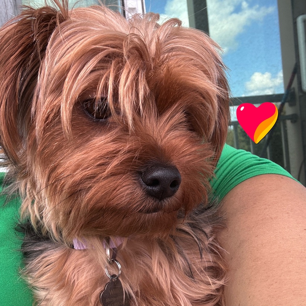 Meet your Posher, Samantha